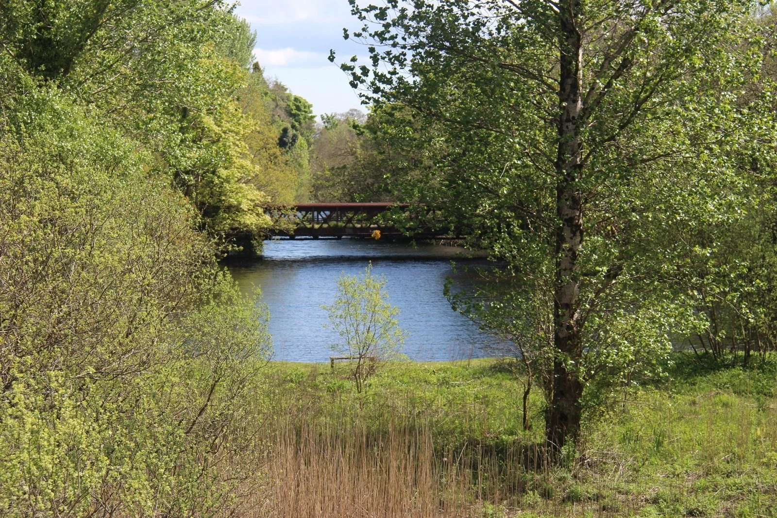 River Eachaig Circuit