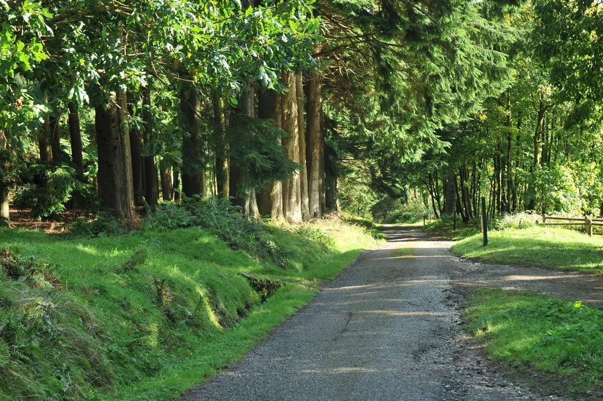 Kilmun Arboretum