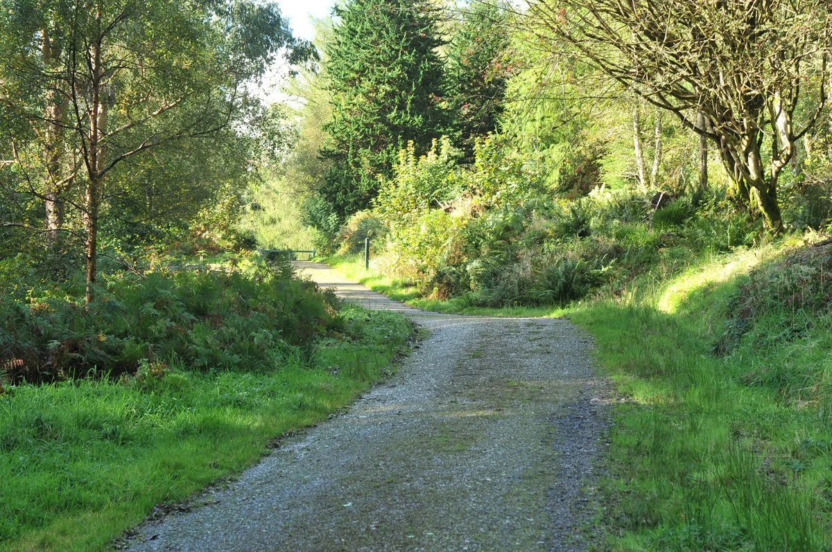 kilmun-arboretum-2.jpg