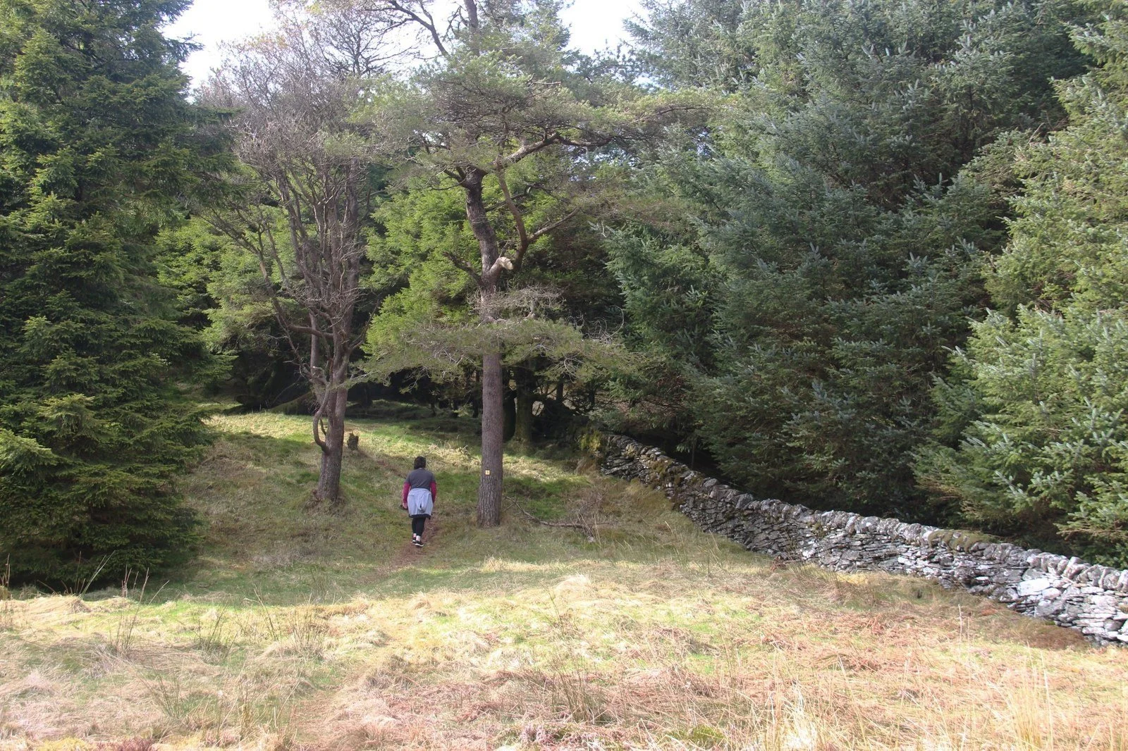 Strone Hill, Kilmun