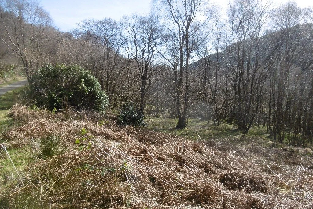 beinn-mhor-glen-massan-2.jpg