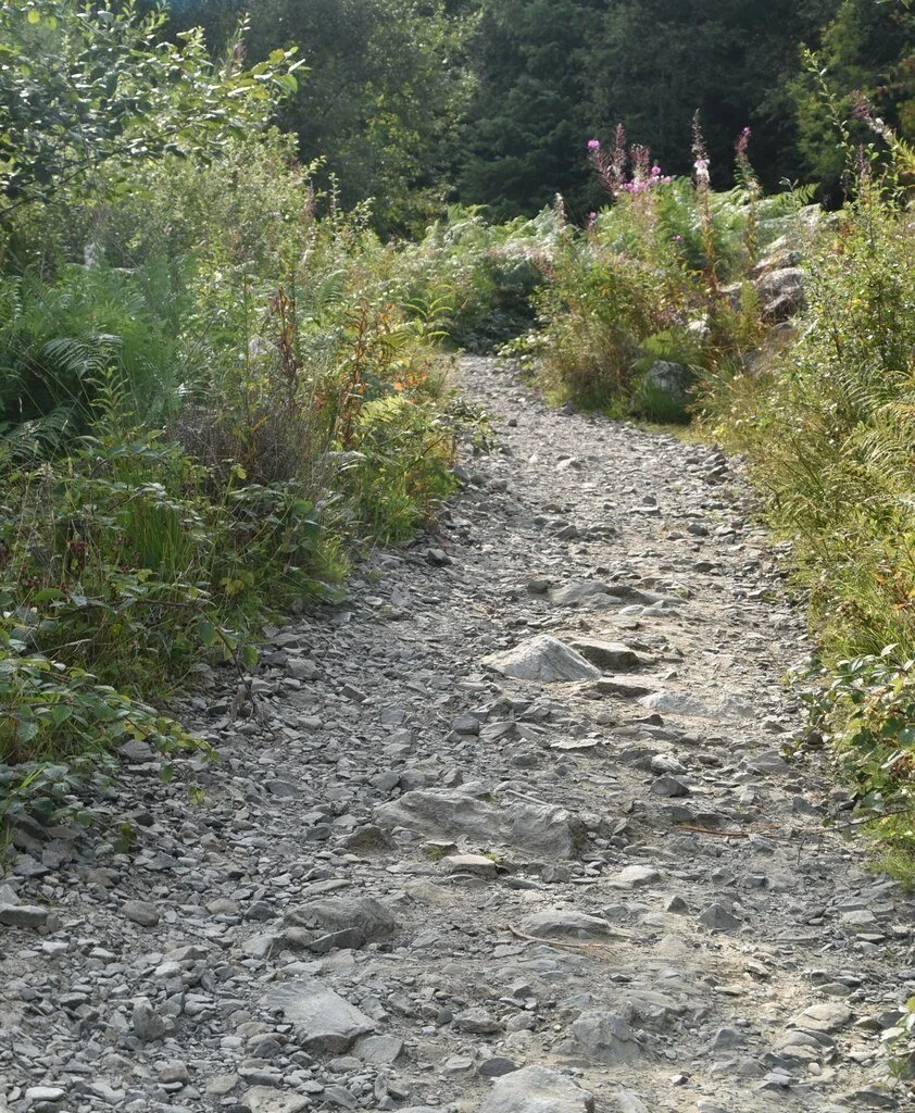 cowal-way-1.jpg