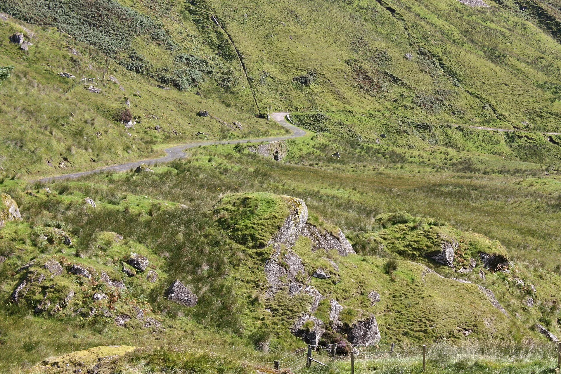 argyll-forest-park-1.jpg