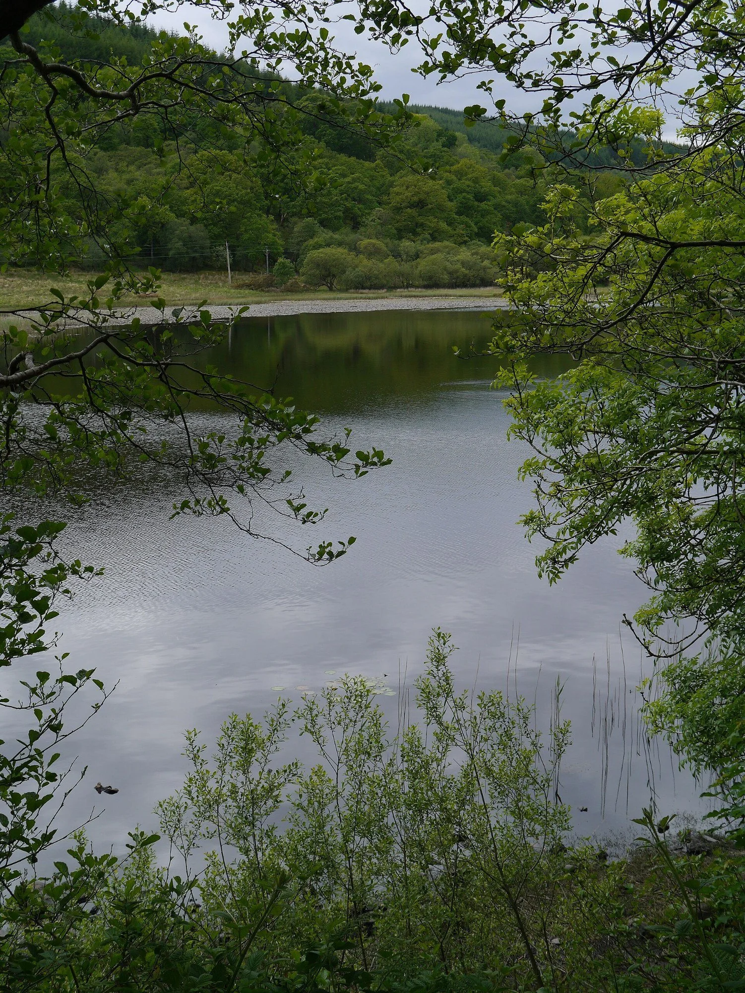 Dunoon and District Angling Club