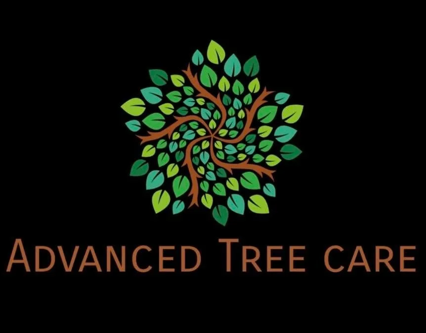 advanced-tree-care-1.jpg
