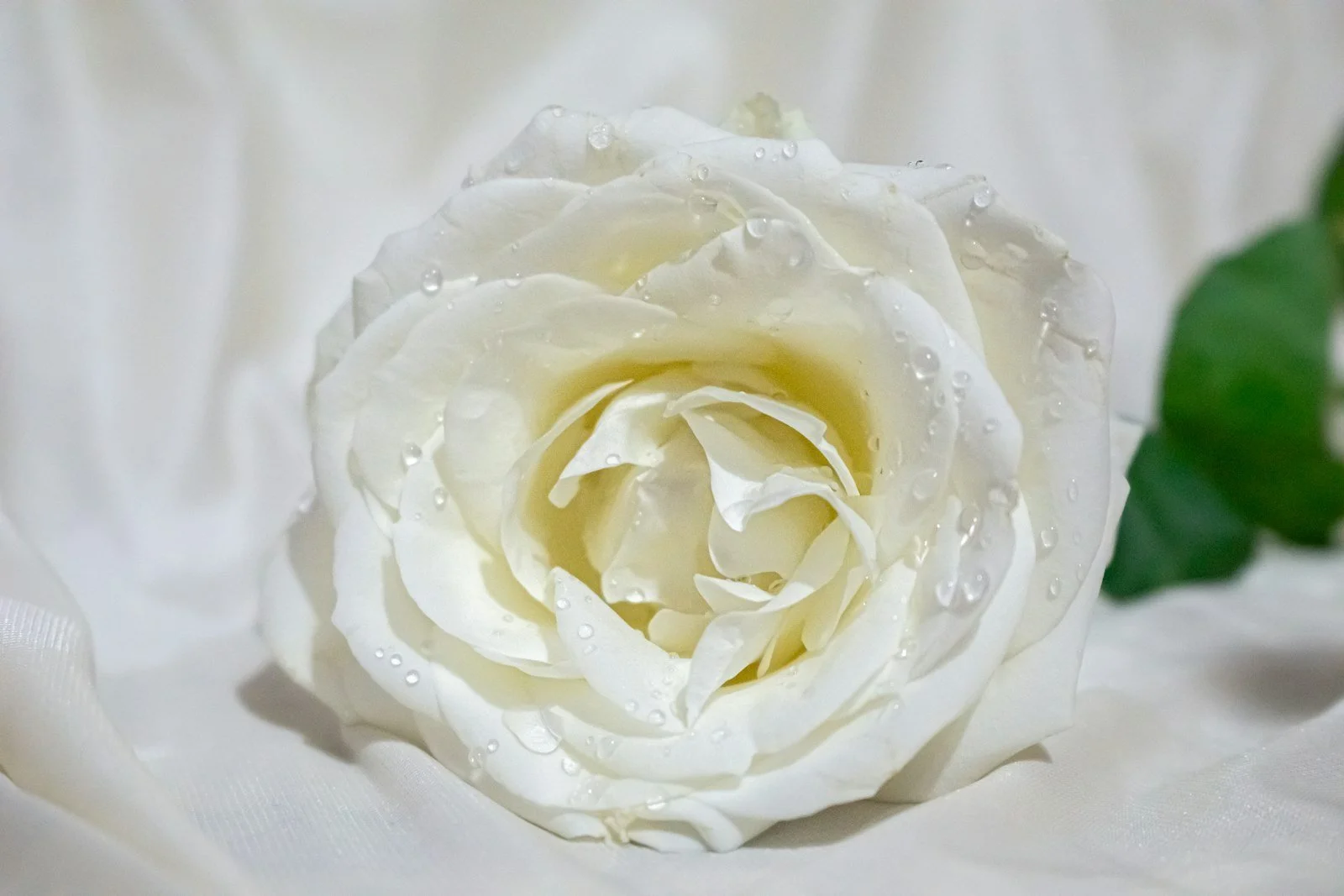 Co-op Funeralcare, Dunoon
