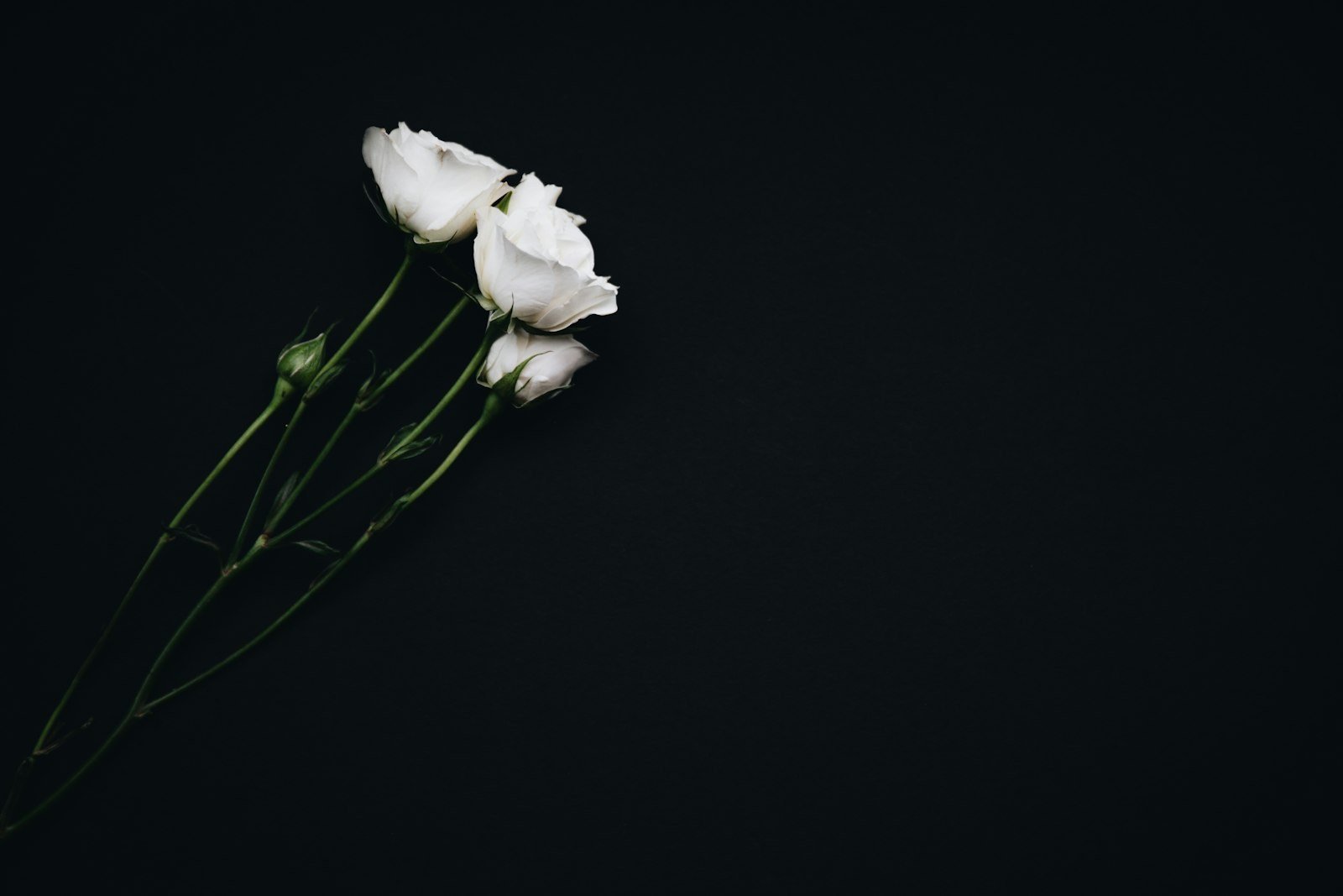 coop-funeralcare-dunoon-2.jpg