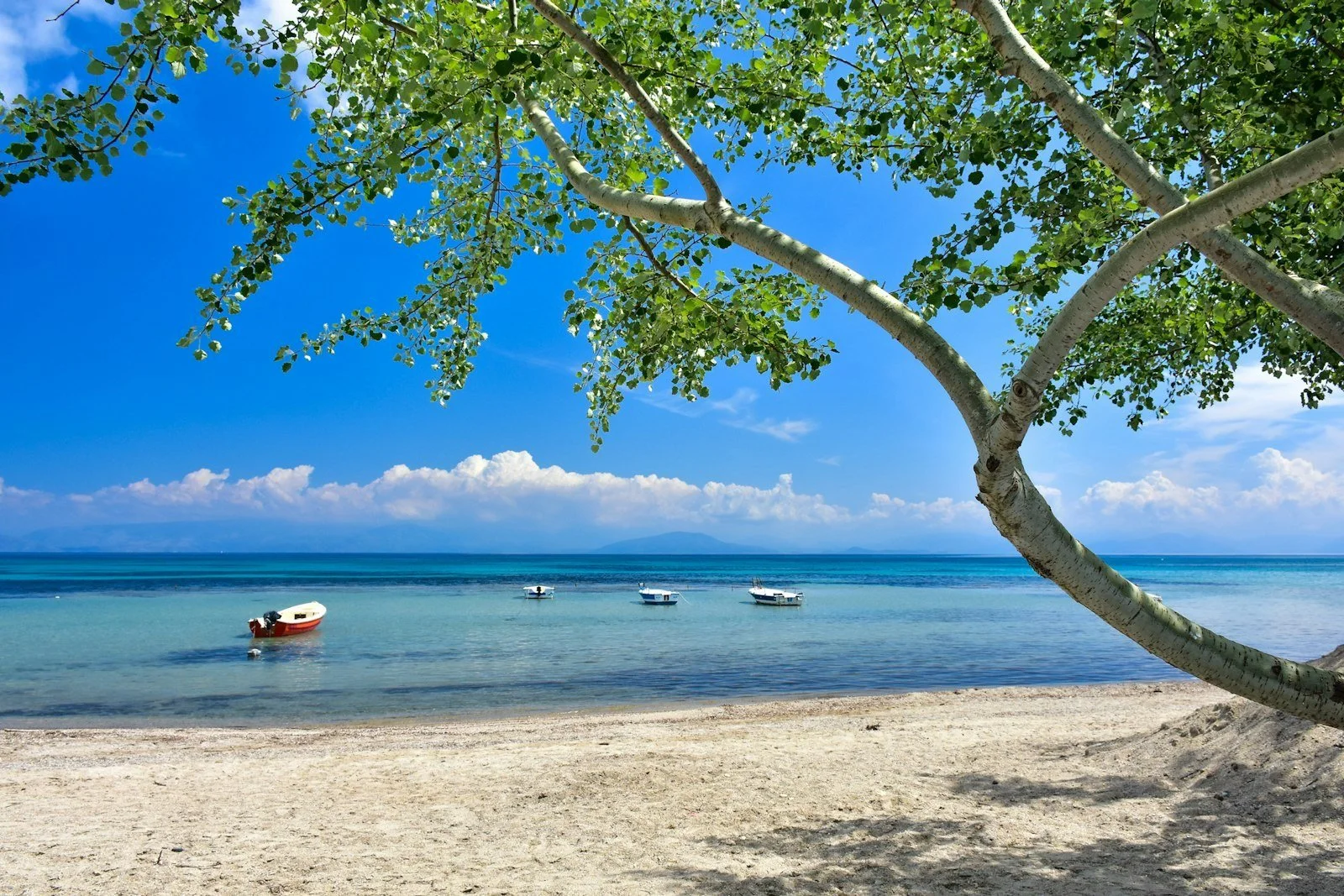 hays-travel-dunoon-3.jpg