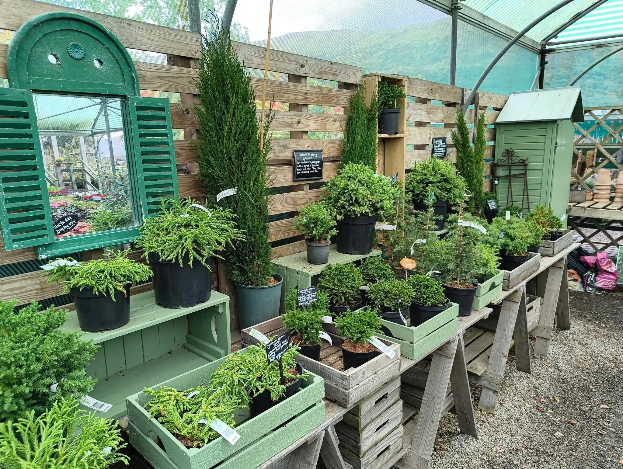 the-tree-shop-1.jpg