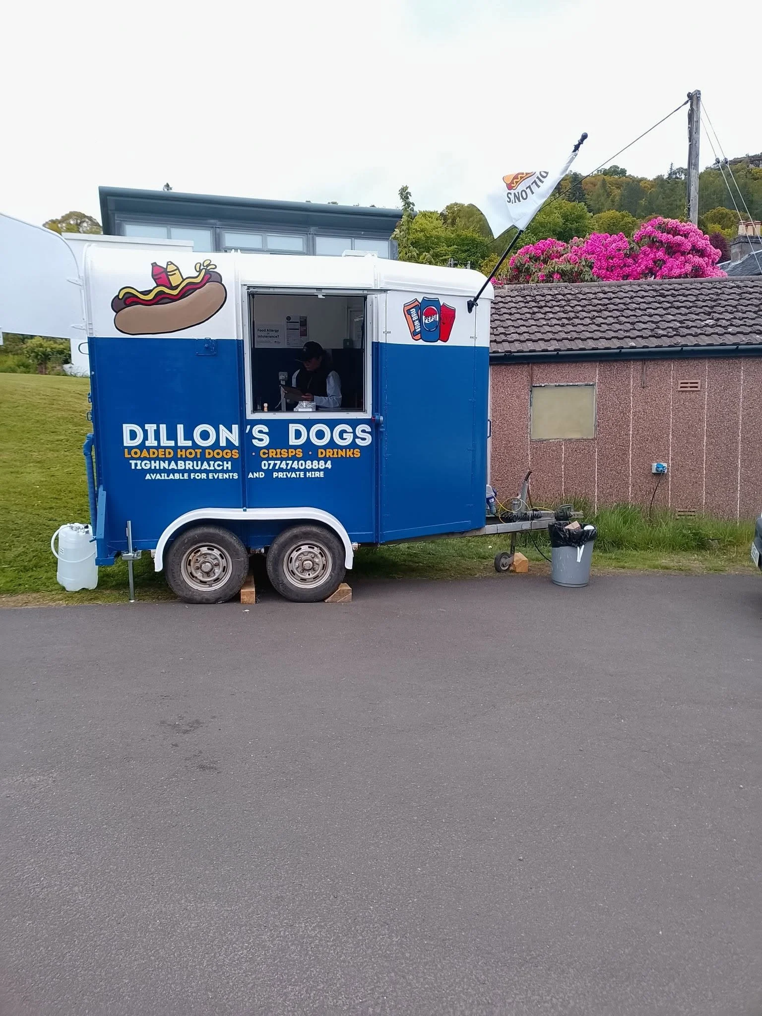 dillons-dogs-2.jpg