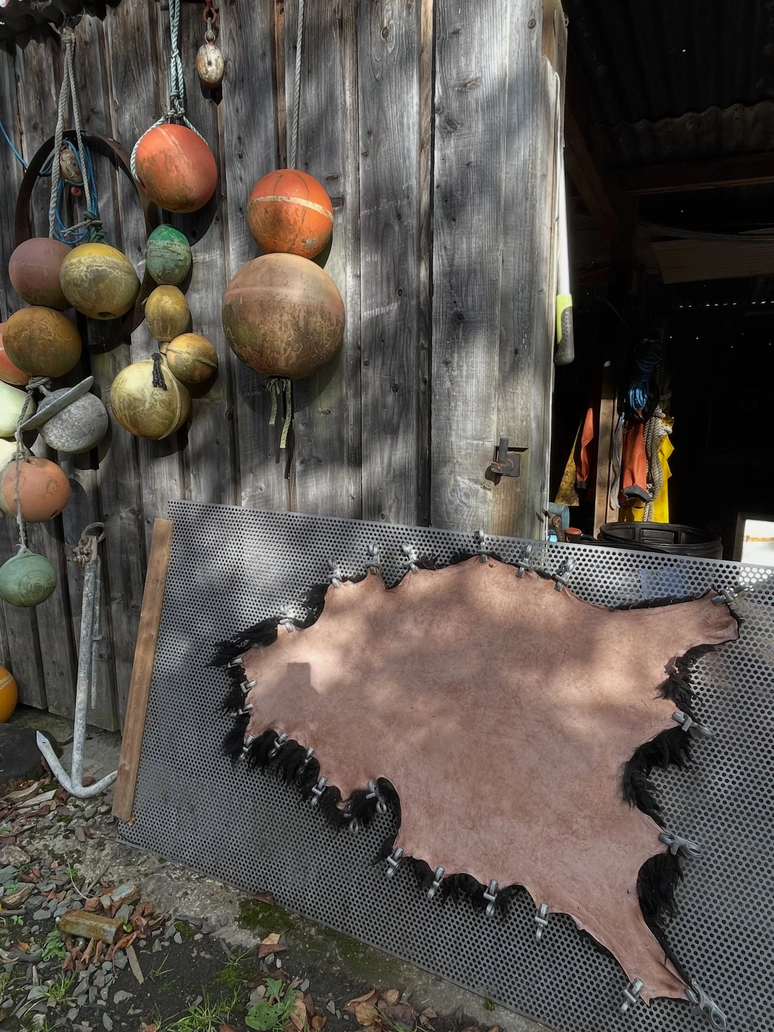carry-farm-1.jpg