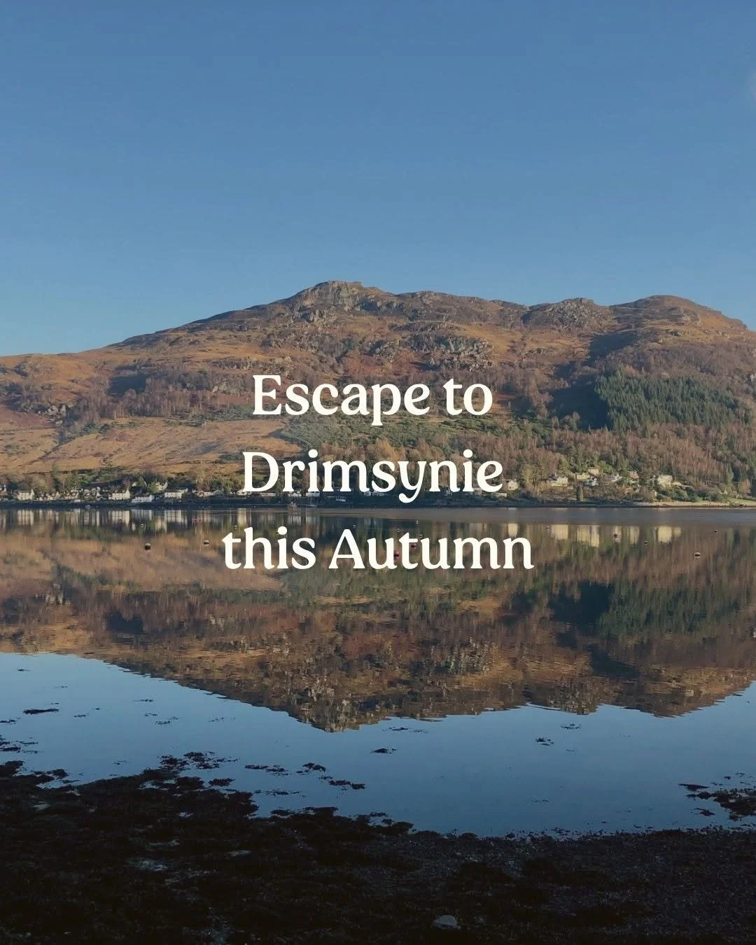 drimsynie-estate-holiday-village-2.jpg