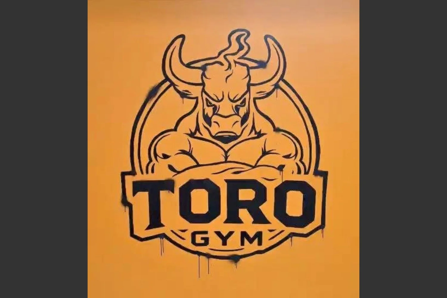 Toro Gym
