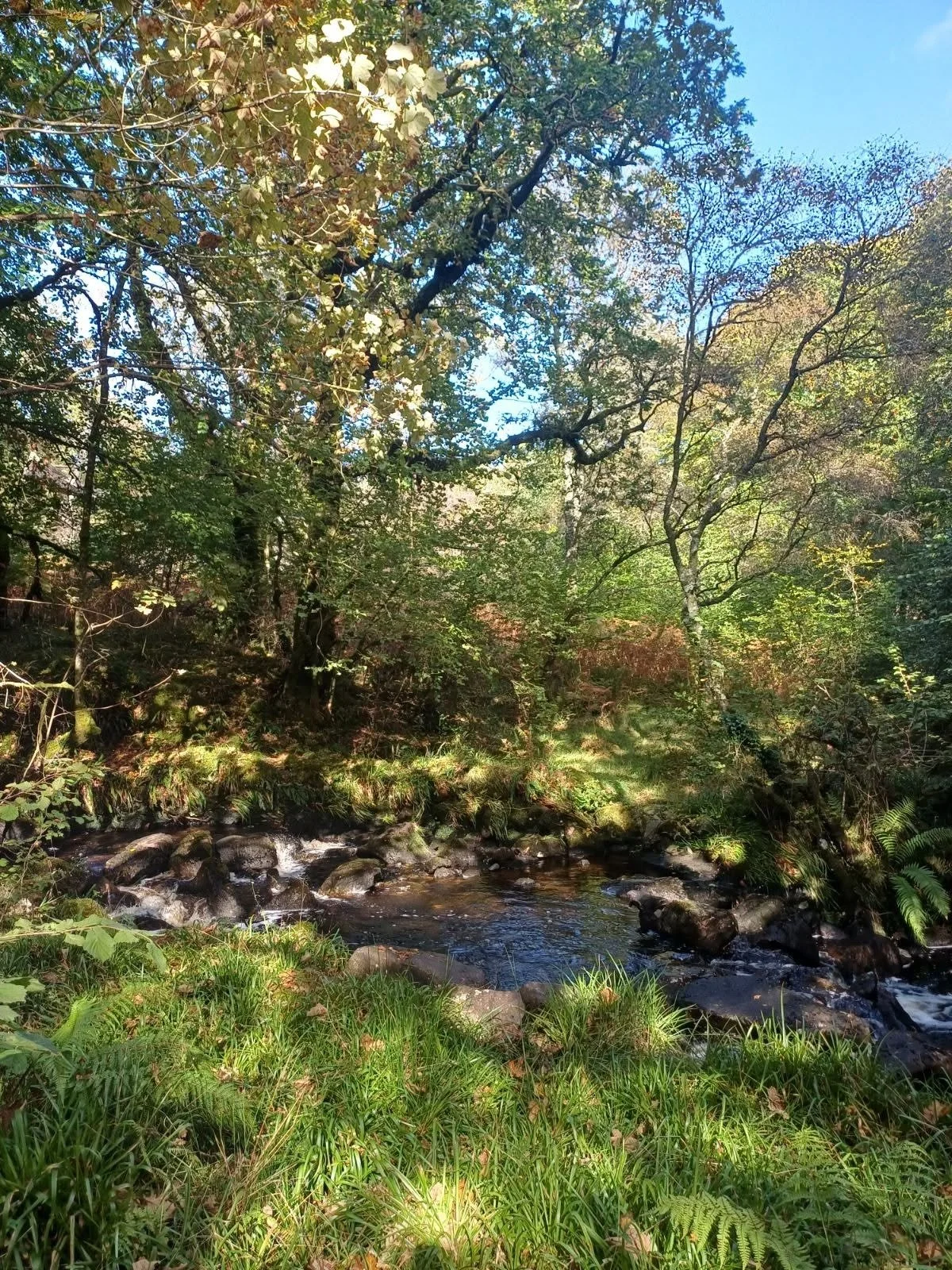 we-are-with-you-argyll-and-bute-2.jpg