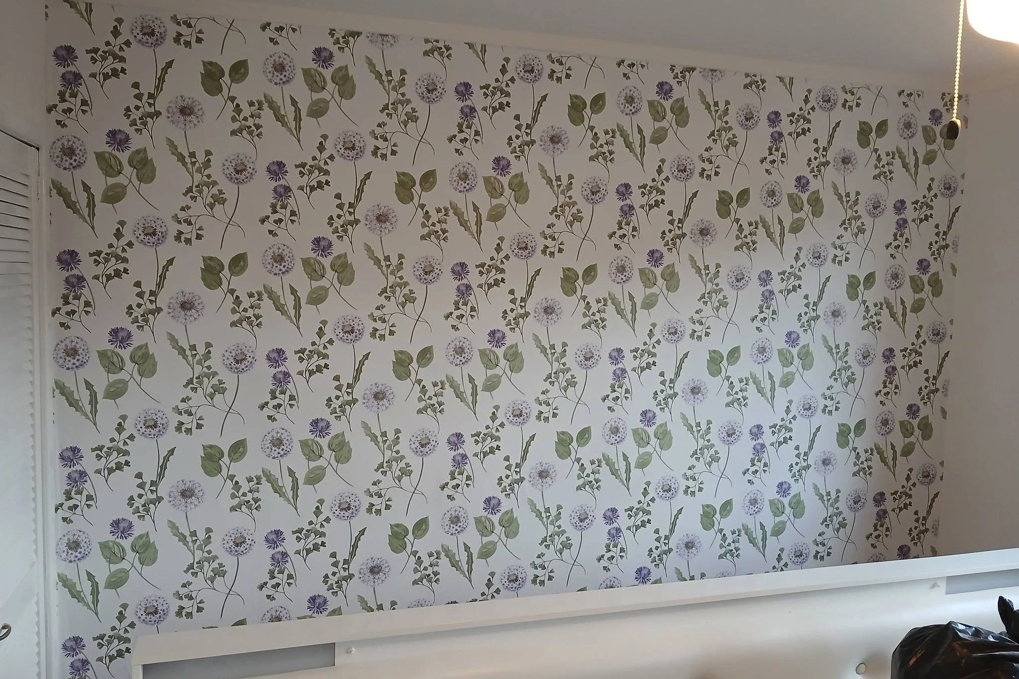 Finlayson Painter and Decorator