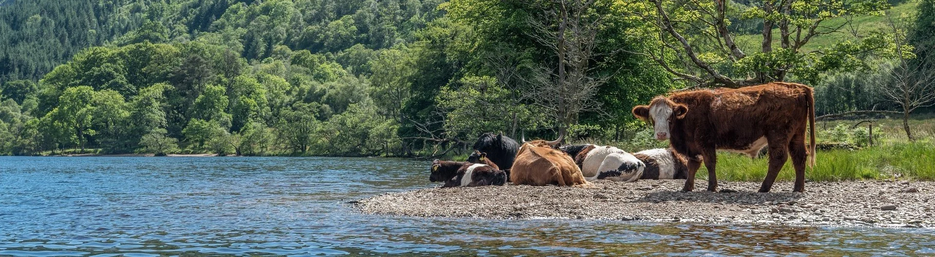 A day at the beach: Loch Eck
