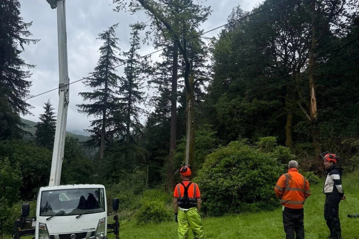 argyll-forestry-services-1.jpg