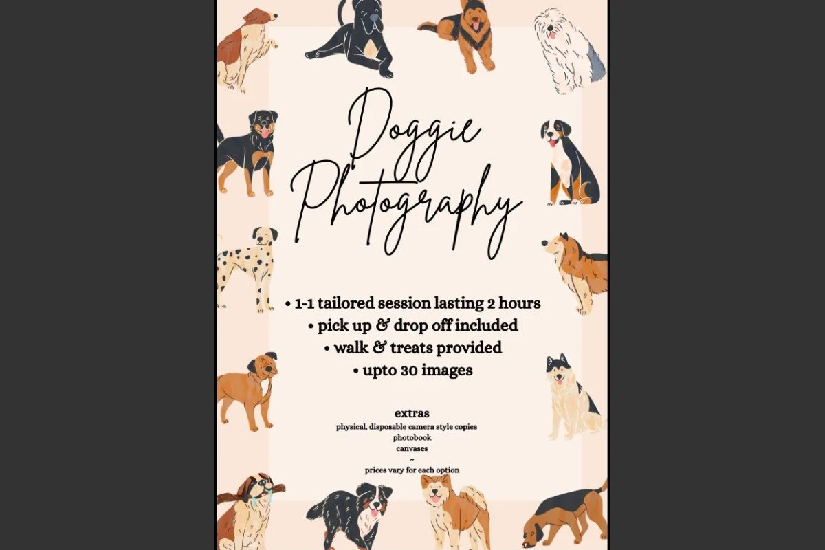 woof-walks-2.jpg