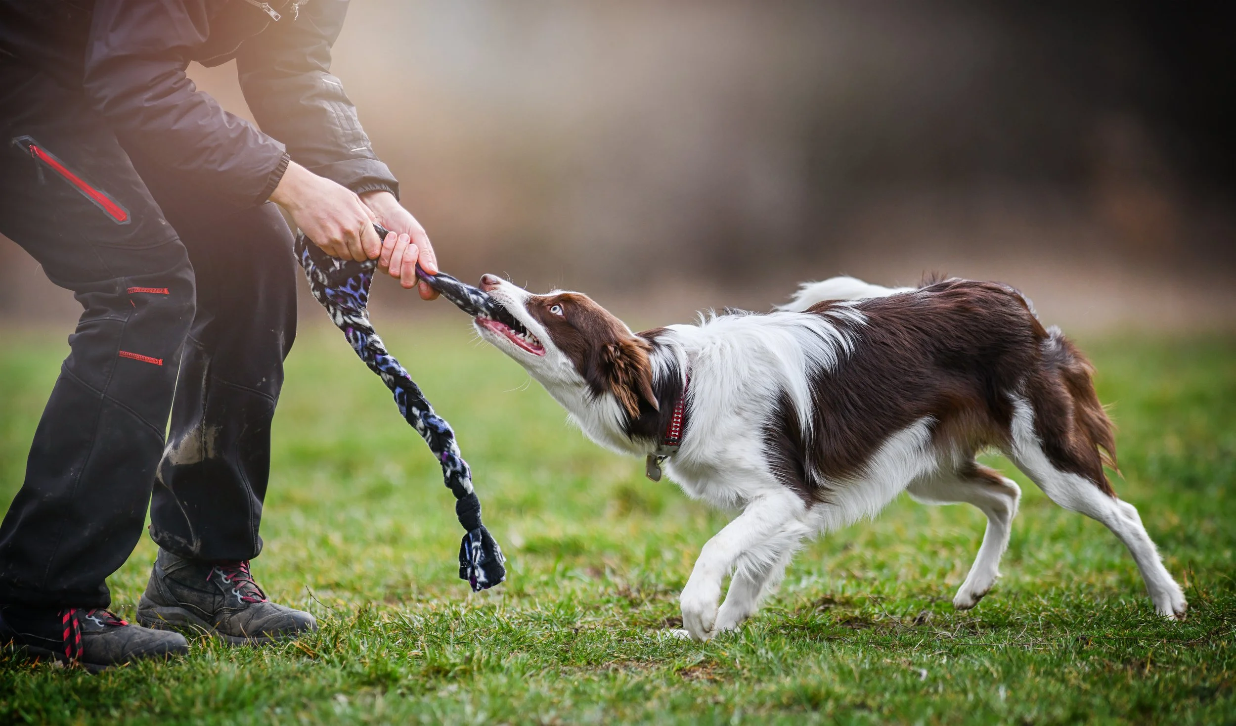 AdobeStock_302396052.jpeg