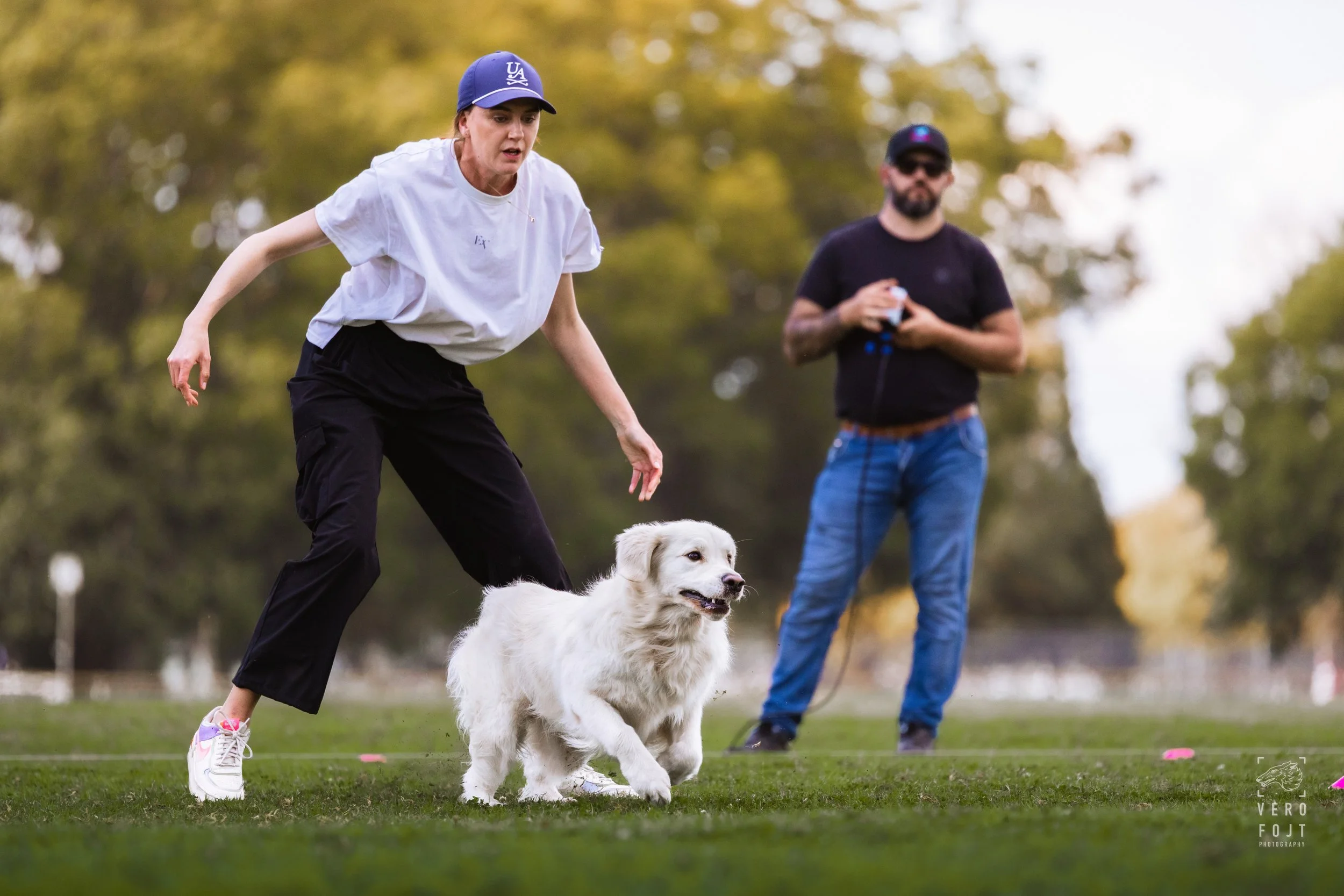 According to Brodie - Million Dollar Boy - FastPaws Lure Pursuit, Hawkesbury, Sydney - golden retriever release