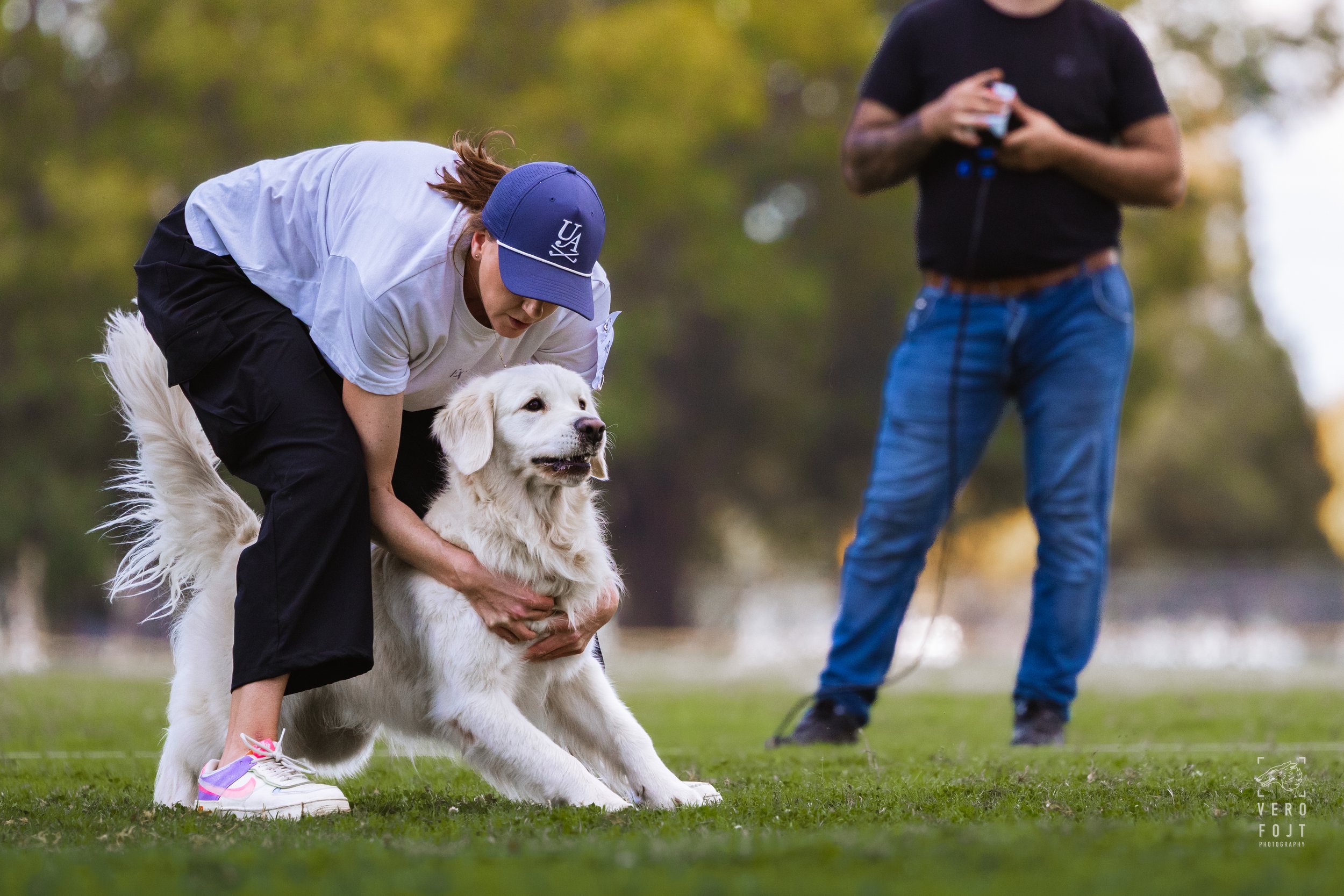 According to Brodie - Million Dollar Boy - FastPaws Lure Pursuit, Hawkesbury, Sydney - golden retriever ready to go