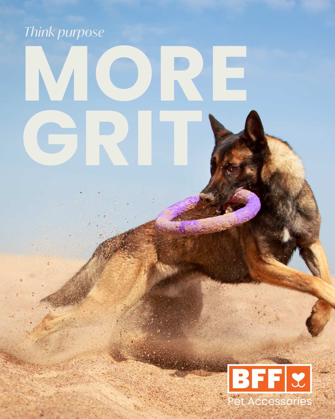 GRIT.png