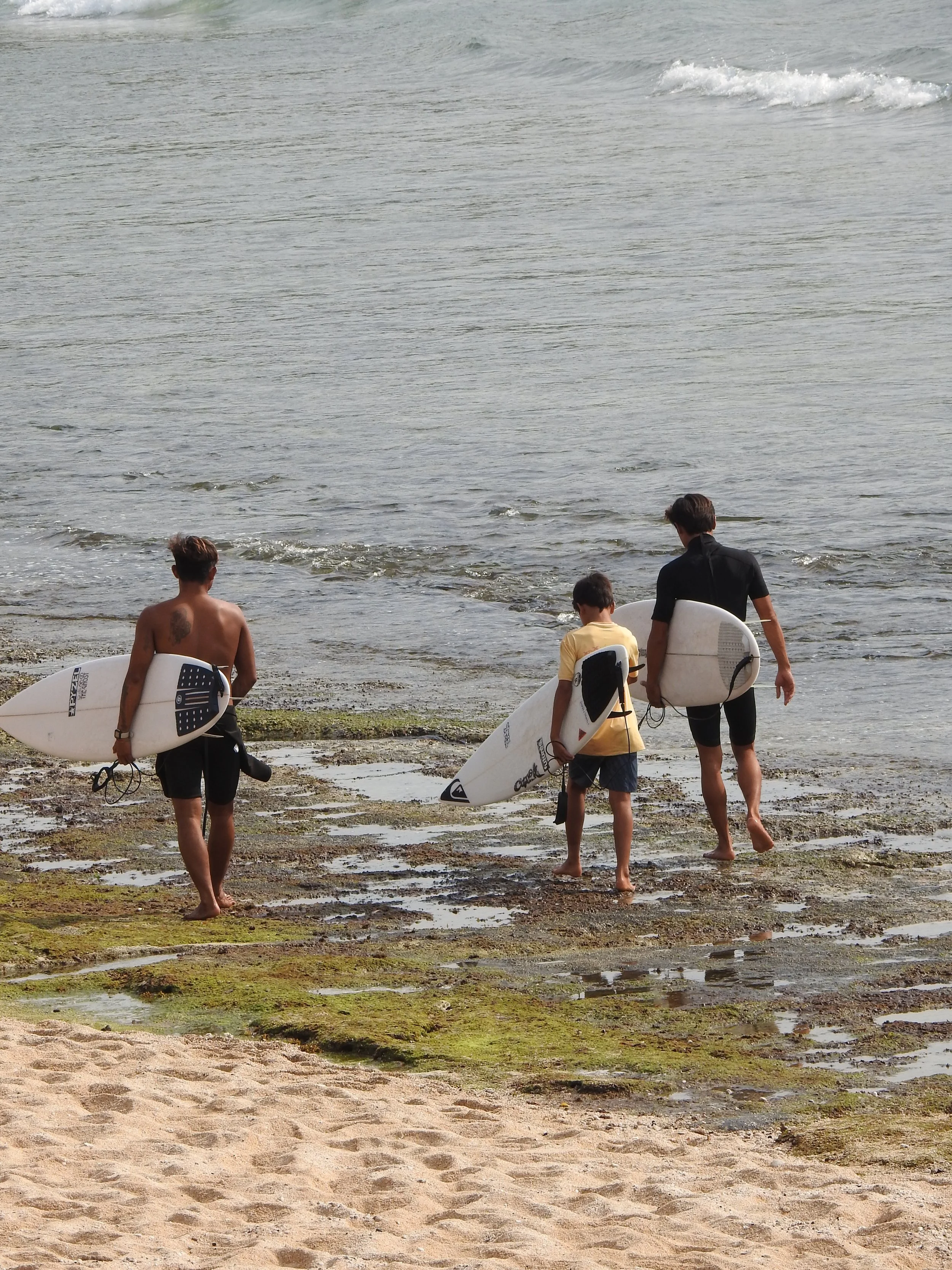 Kids Surf
