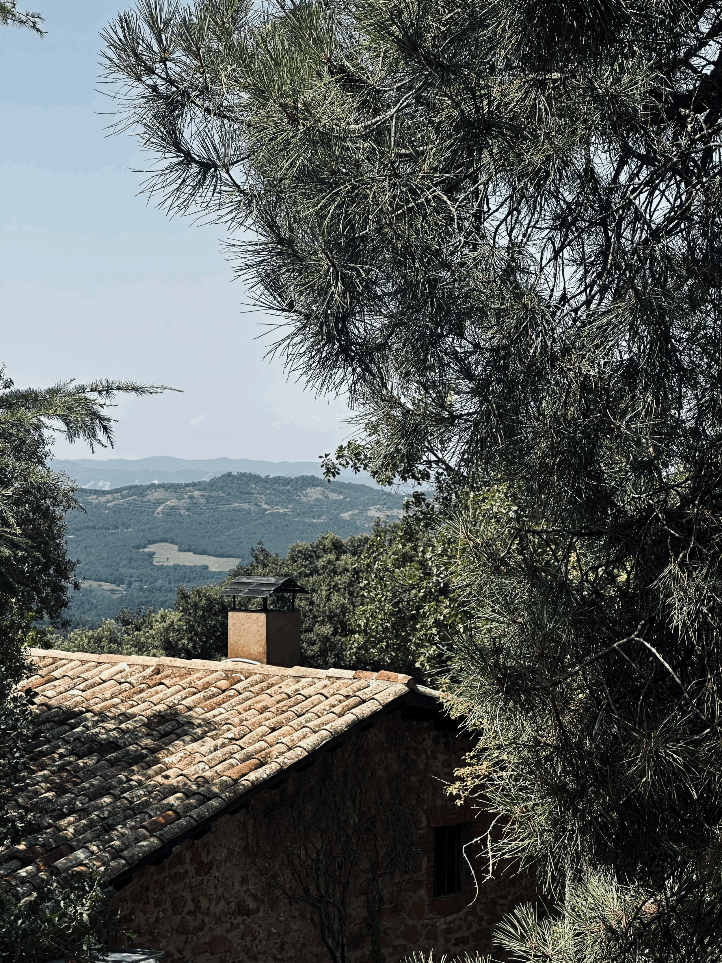 Spain — Presence in Practice
