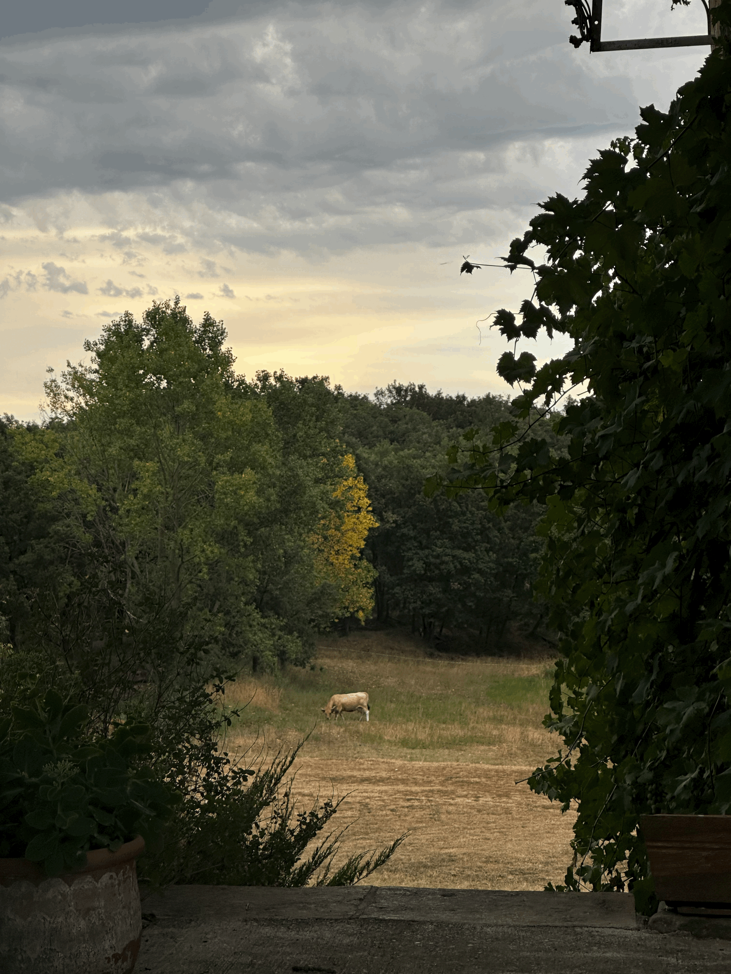 Spain — Presence in Practice.