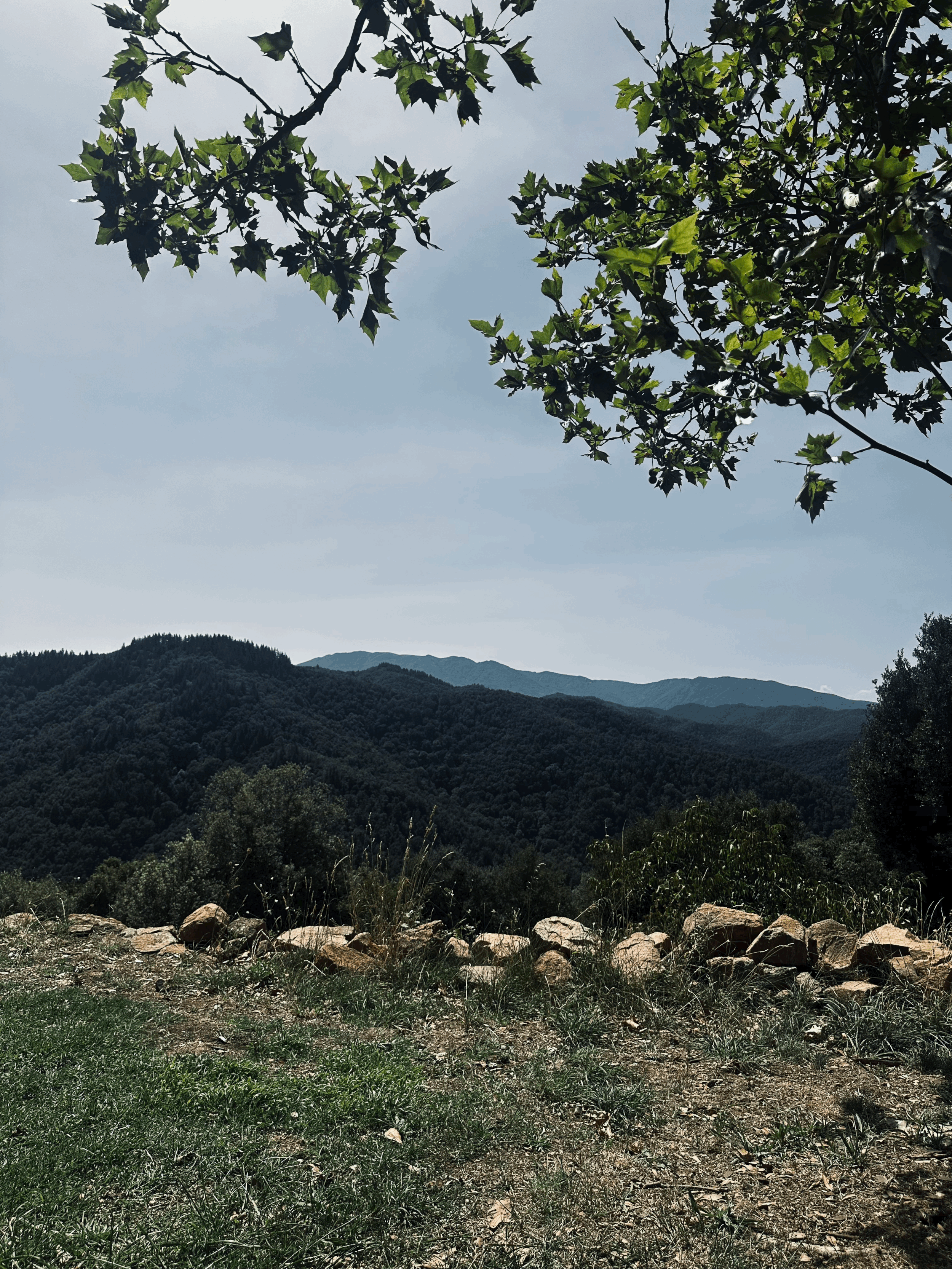 Spain — Presence in Practice 