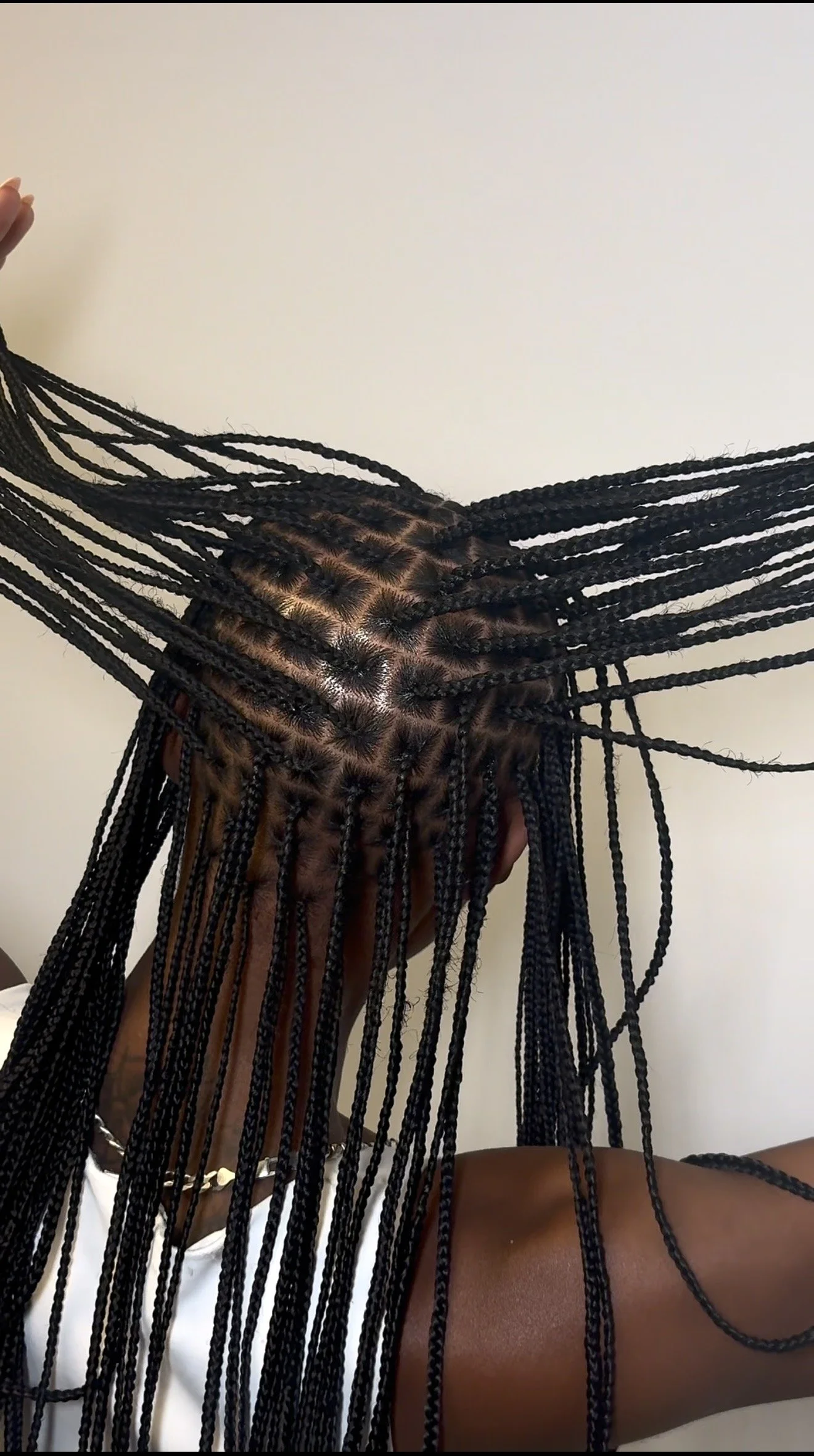 Close-up of a person with long braids, showing their scalp, neck, and shoulder against a plain background.