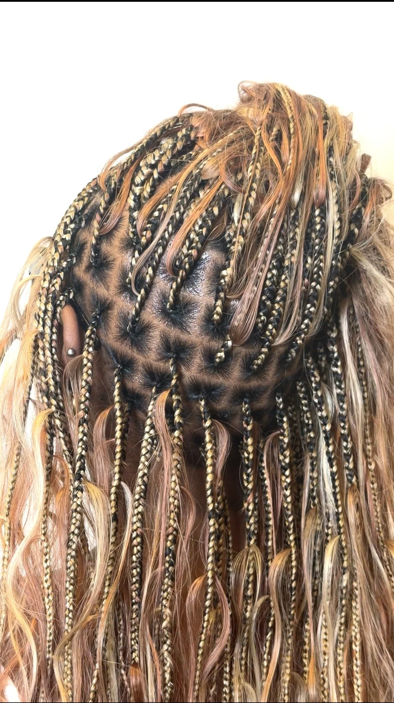 Close-up of a person's head covered with tightly braided and styled hair, with variations of blonde and brown colors.