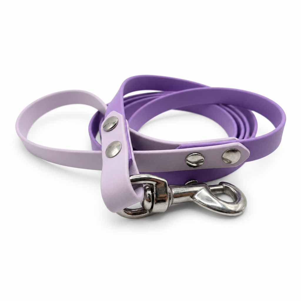 Two tones BioThane leash