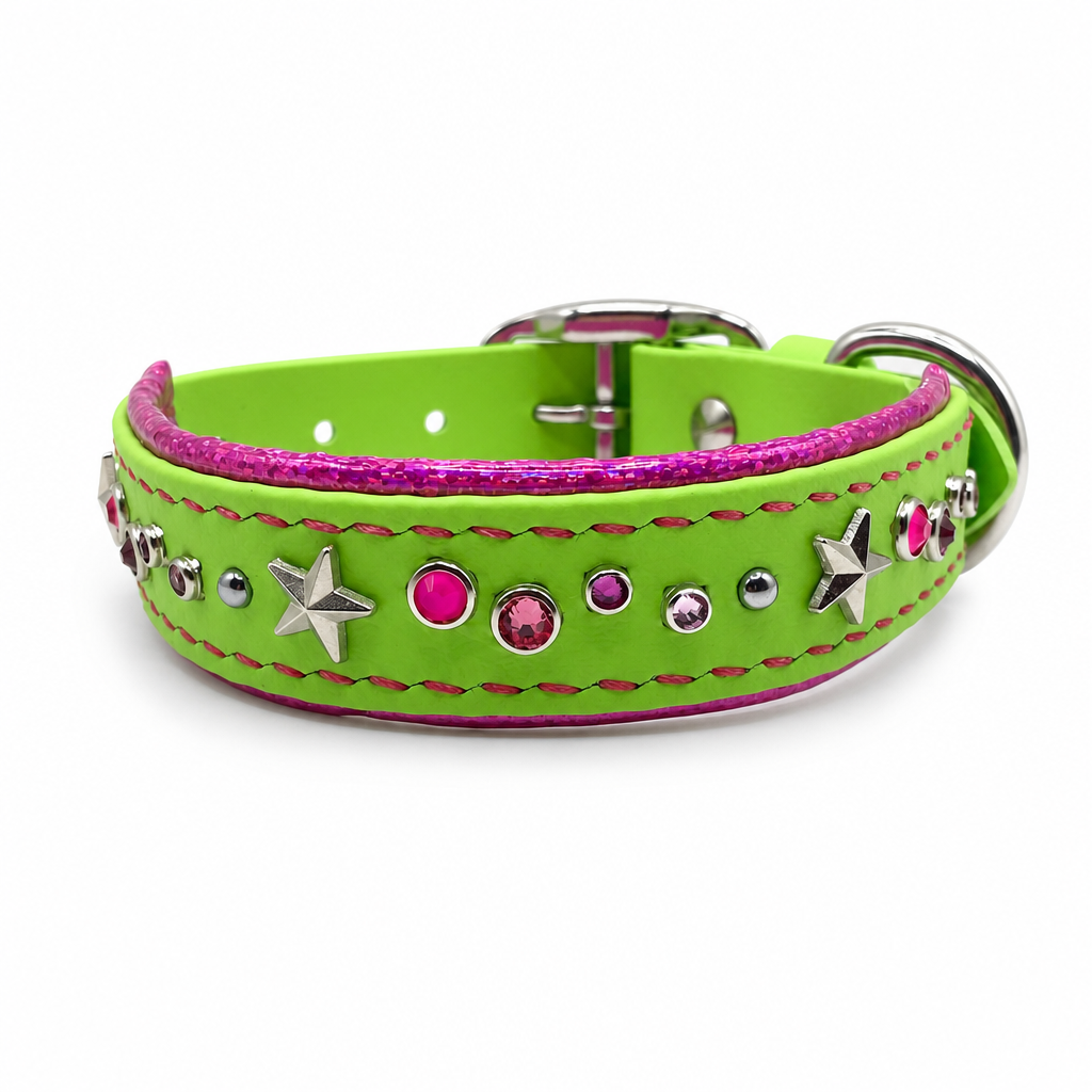 NOVA 1'' Collar
