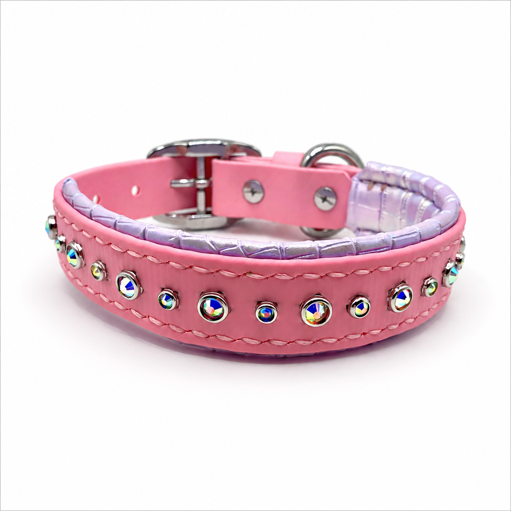 MINIMALIST 1'' Collar