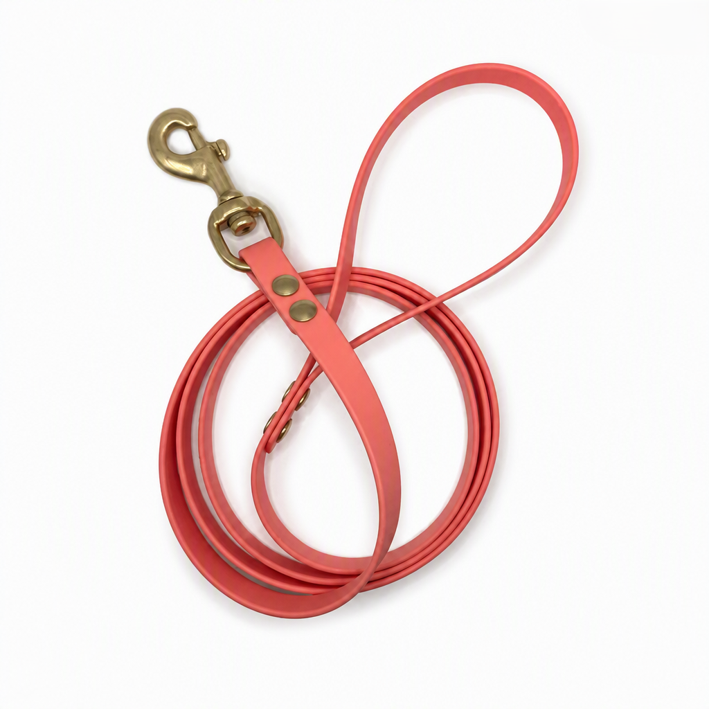 Standard BioThane leash