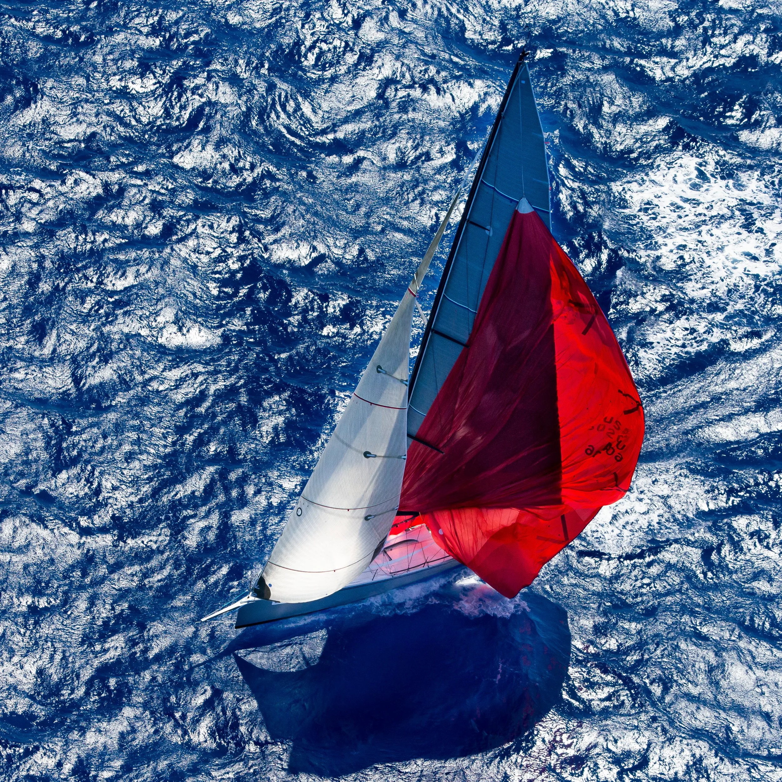 VSTBARTH2014-11627.jpg
