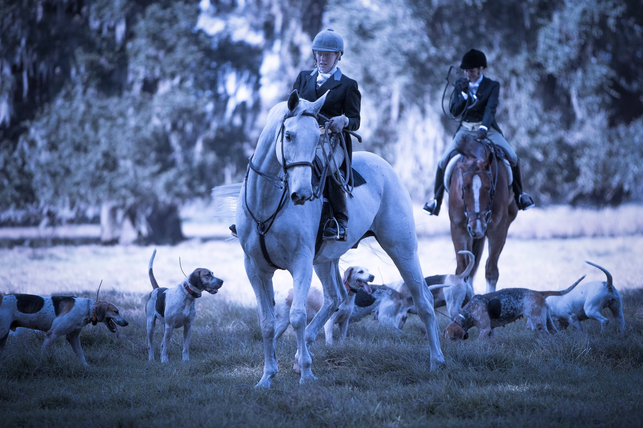 FOXHUNT2012-456.jpg