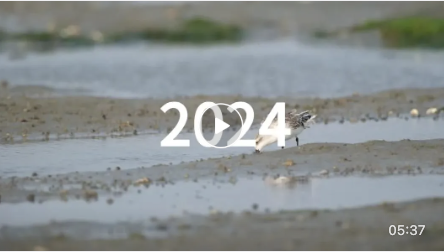 *2024