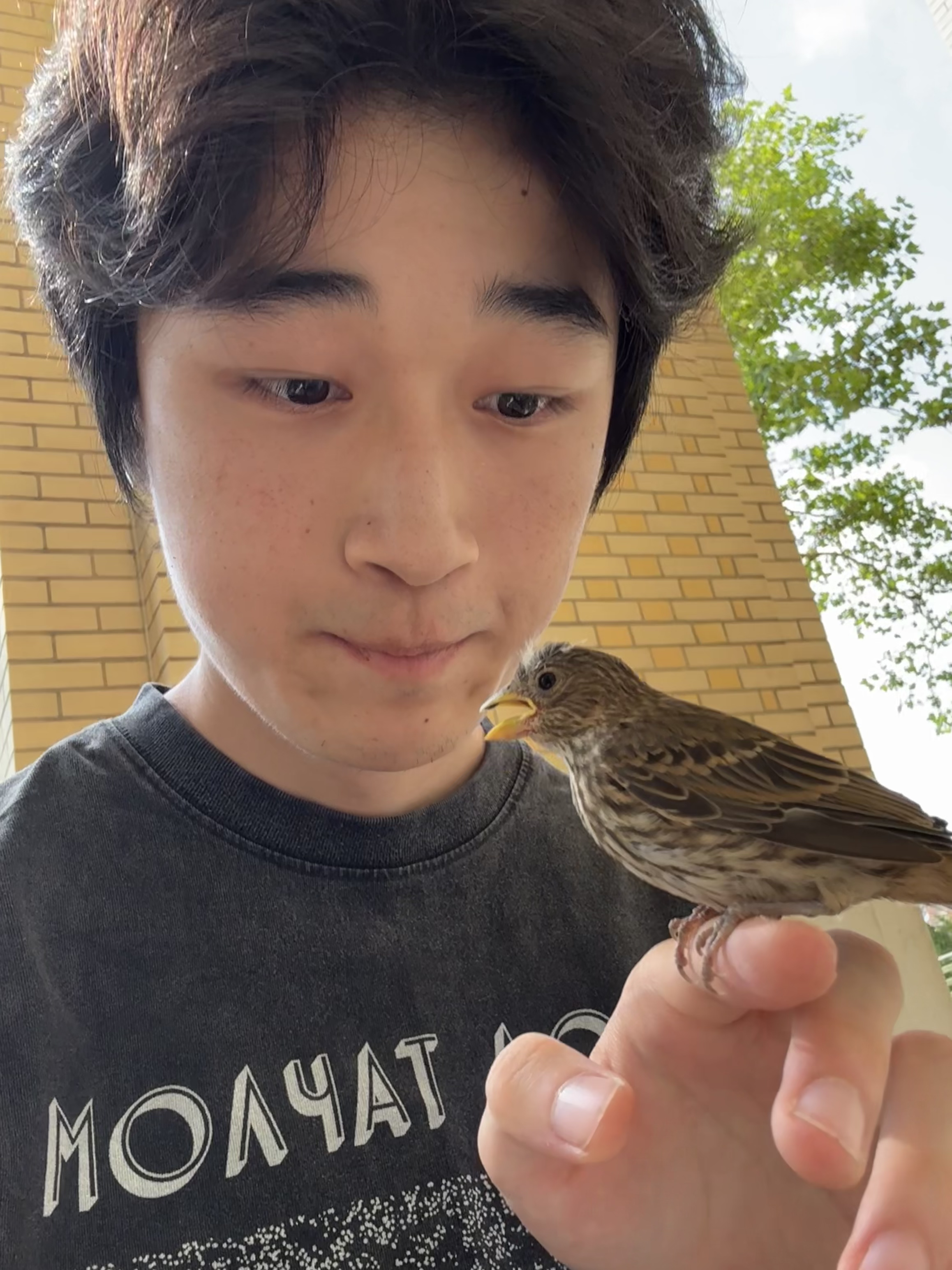 Henry with a House Finch he rescued after it was stunned by a window collision