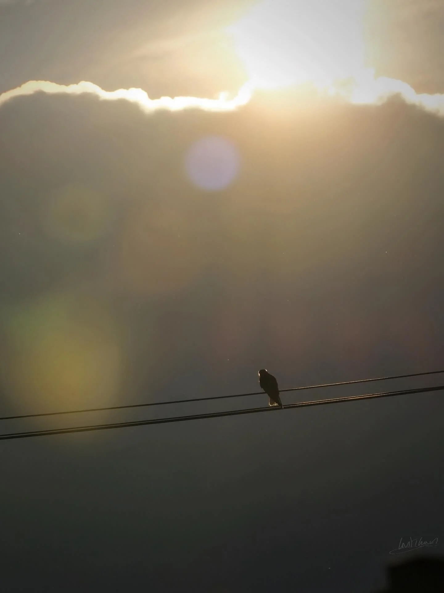*This scene inspired “Sunrise.” Click to listen to the song.*