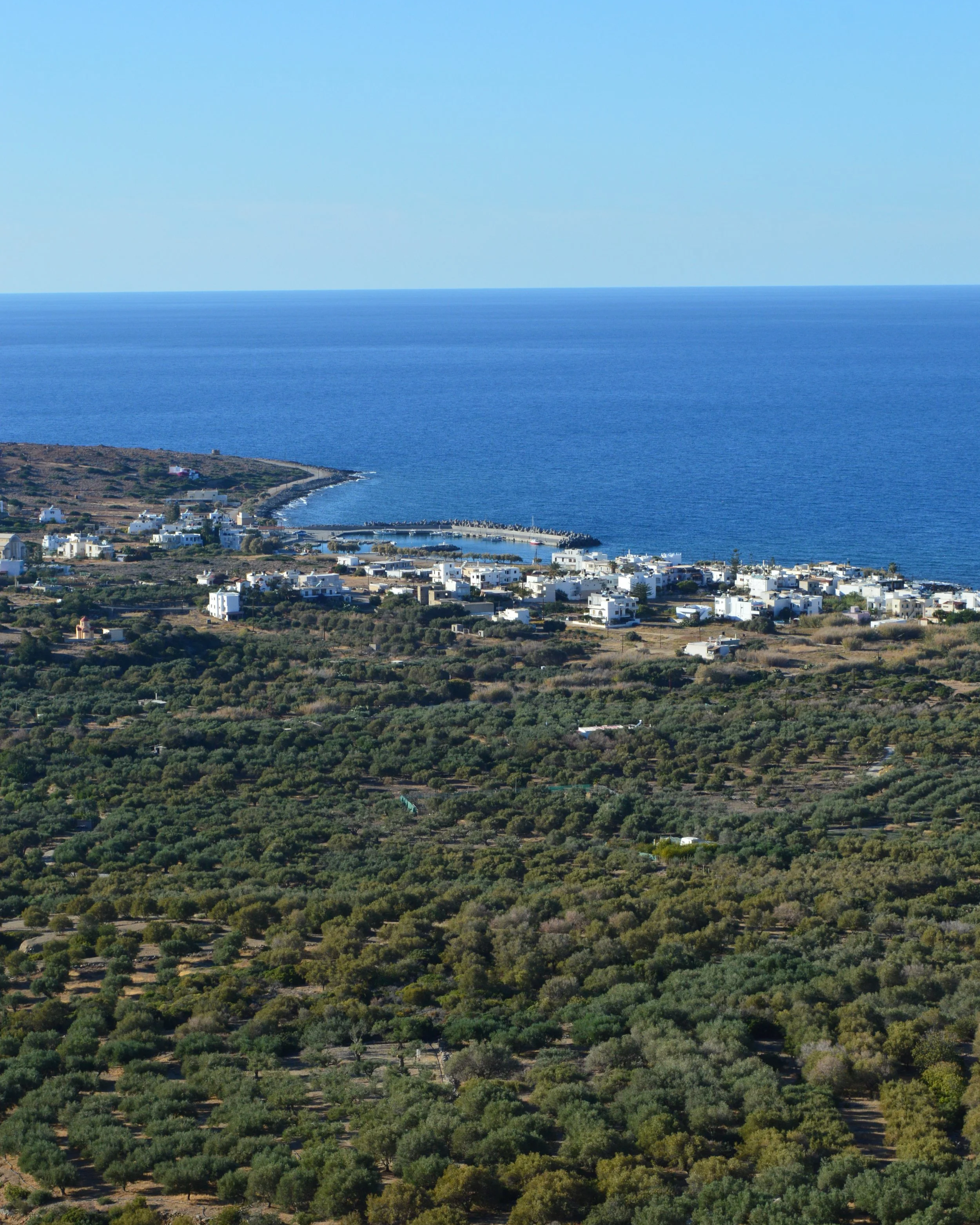 A coastal landscape with a small town, green trees, a pier, and the ocean extending to the horizon under a clear blue sky.