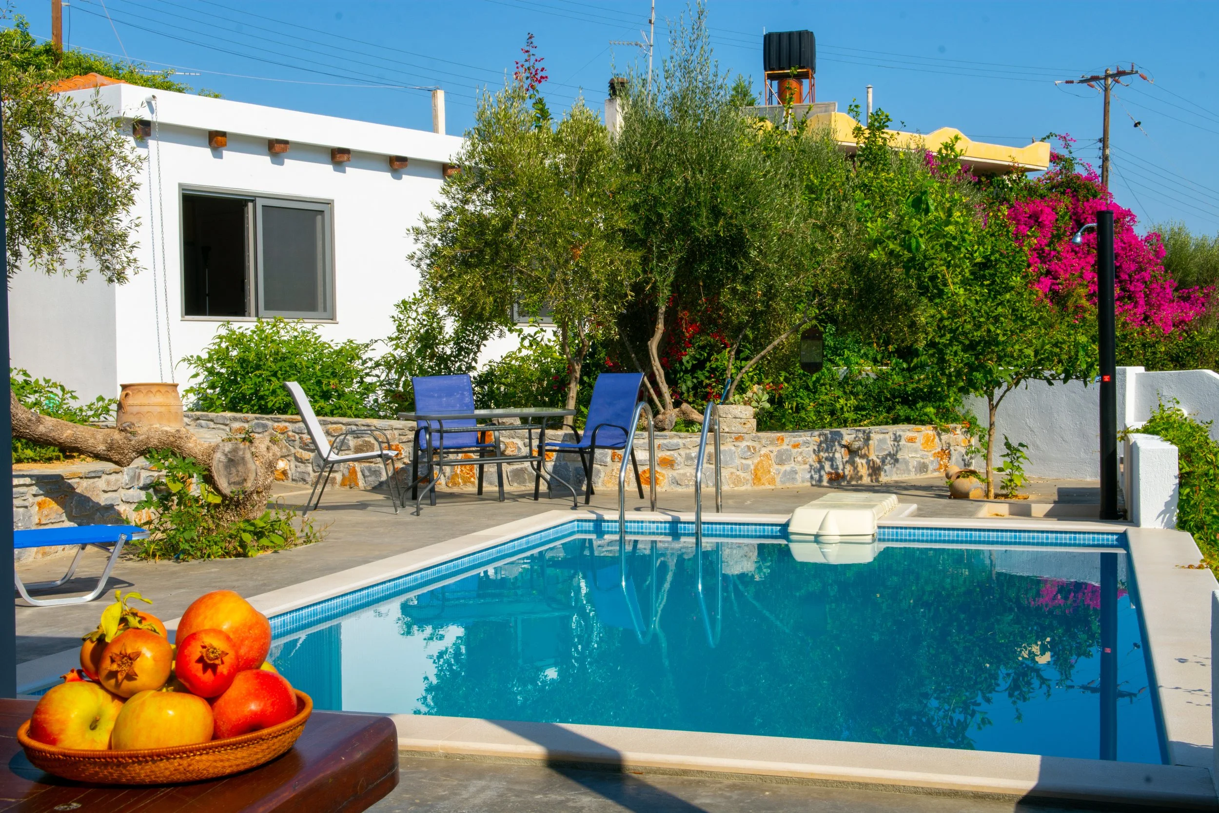 A swimming pool in a backyard with a stone wall, surrounded by greenery and colorful flowering bushes. There is patio furniture near the pool, and a basket of apples is in the foreground.