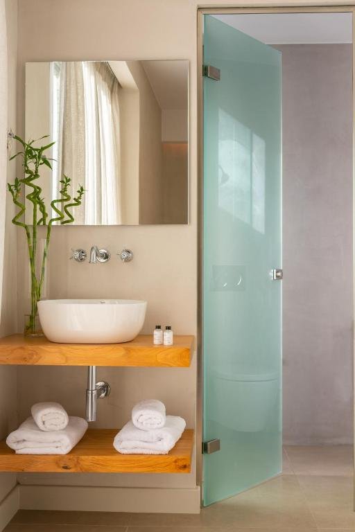 Bathroom with a wooden sink counter, a vessel sink, a mirror, a bamboo plant, and a frosted glass shower door.