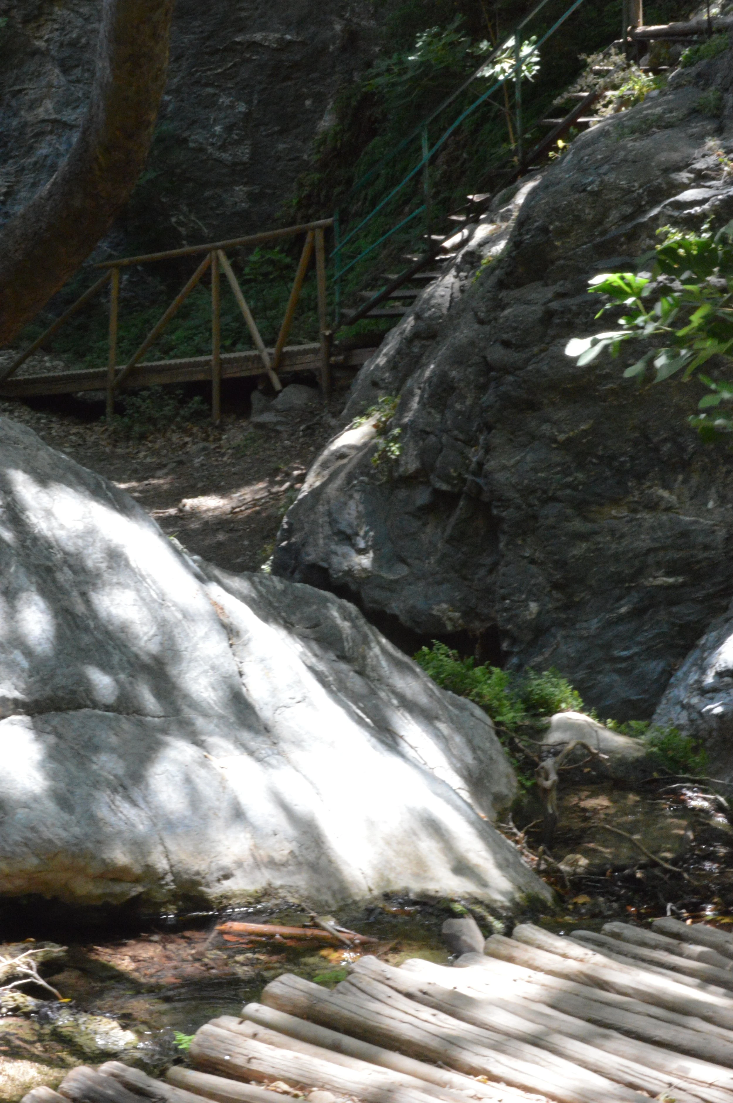 A wooden ladder and a small wooden bridge with railings are situated in a rocky, forested area near a waterfall or stream. Sunlight filters through the trees, illuminating the scene.