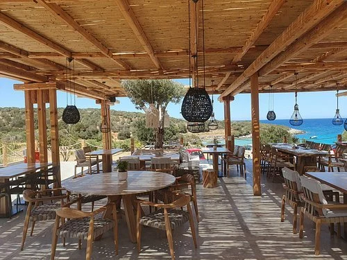Open-air restaurant with wooden tables and chairs, hanging pendant lights, overlooking the ocean and trees