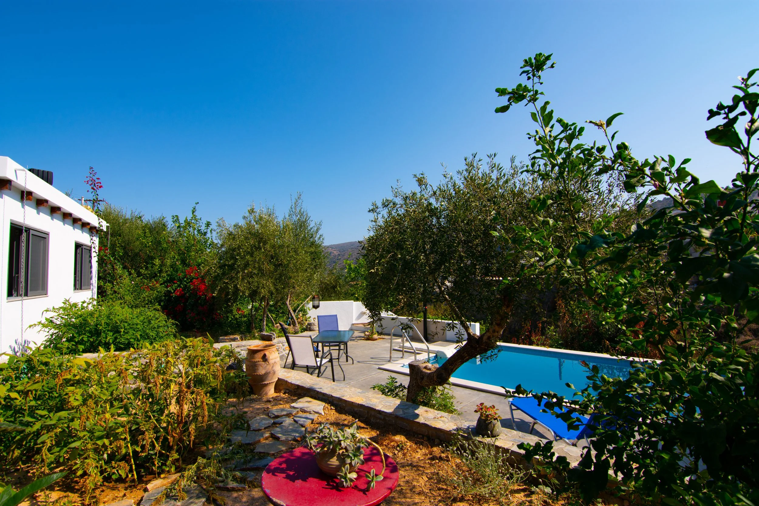 A backyard with a swimming pool, outdoor seating, surrounded by trees and plants, with a clear blue sky overhead.