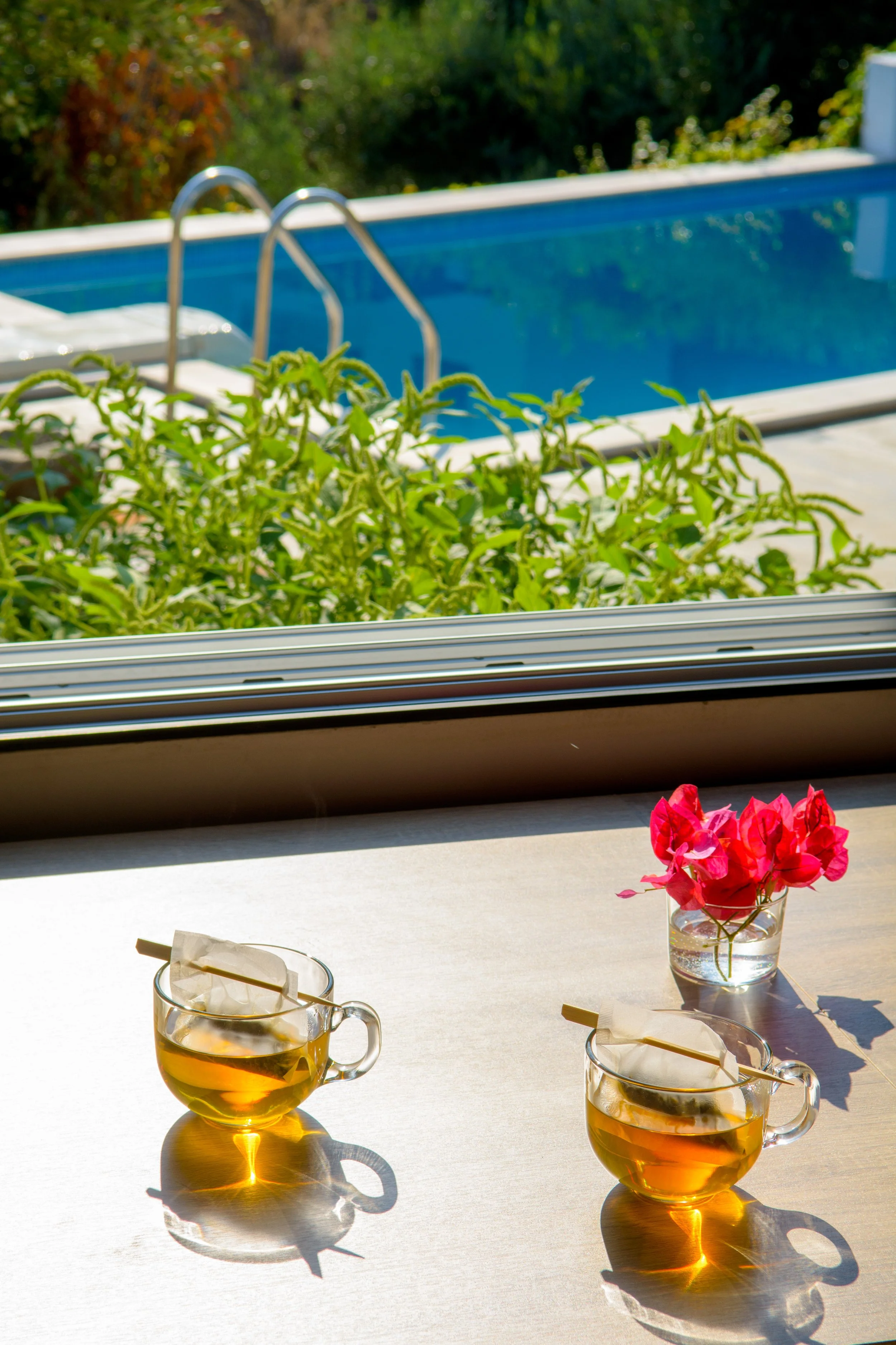 Two glass mugs filled with tea placed on a white table, with a pink flower in a small glass vase next to them, sunlight casting shadows on the table, a window with greenery outside in the background.