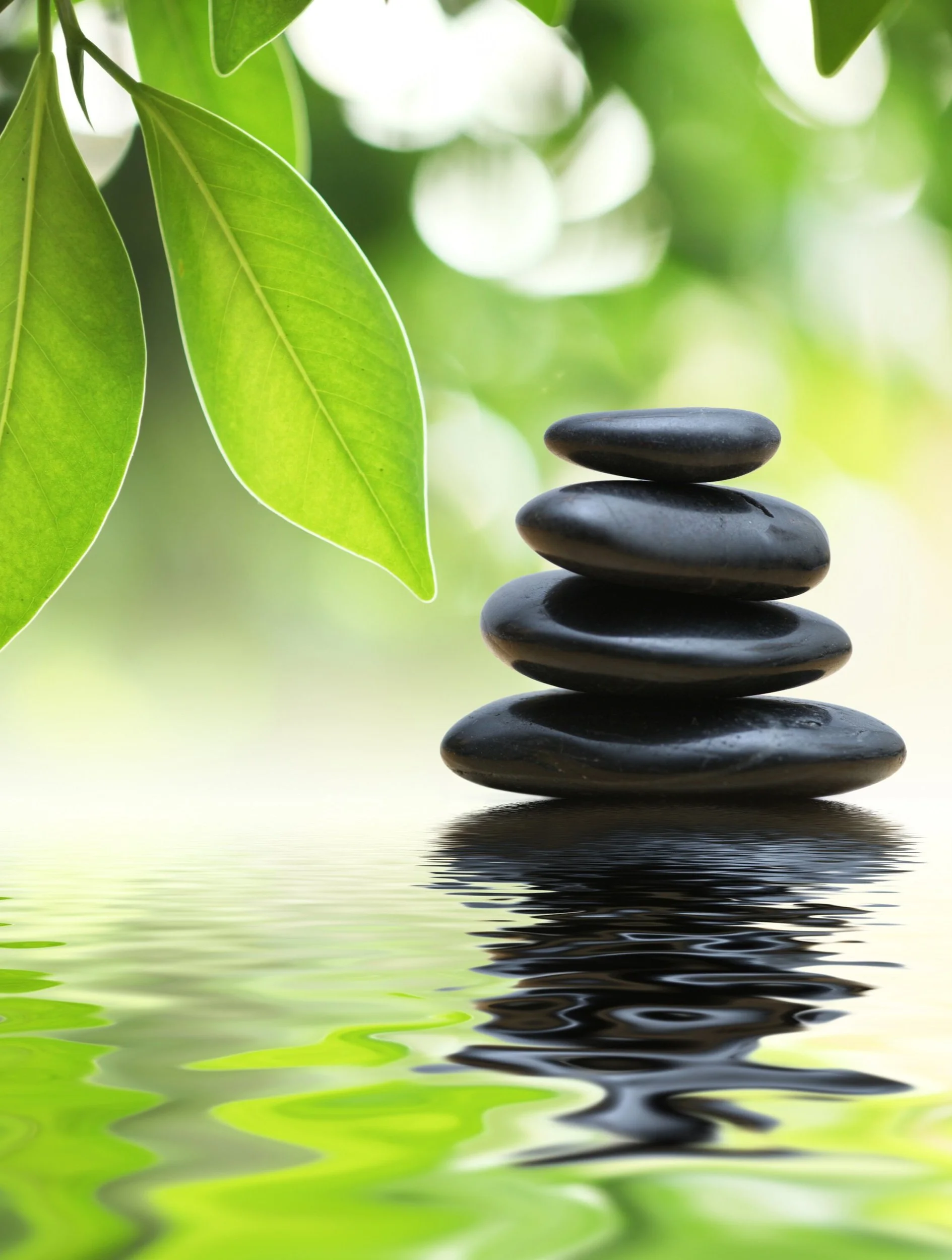Maribel Dugas, LCSW, Zen & Health, black rocks on water and leaves