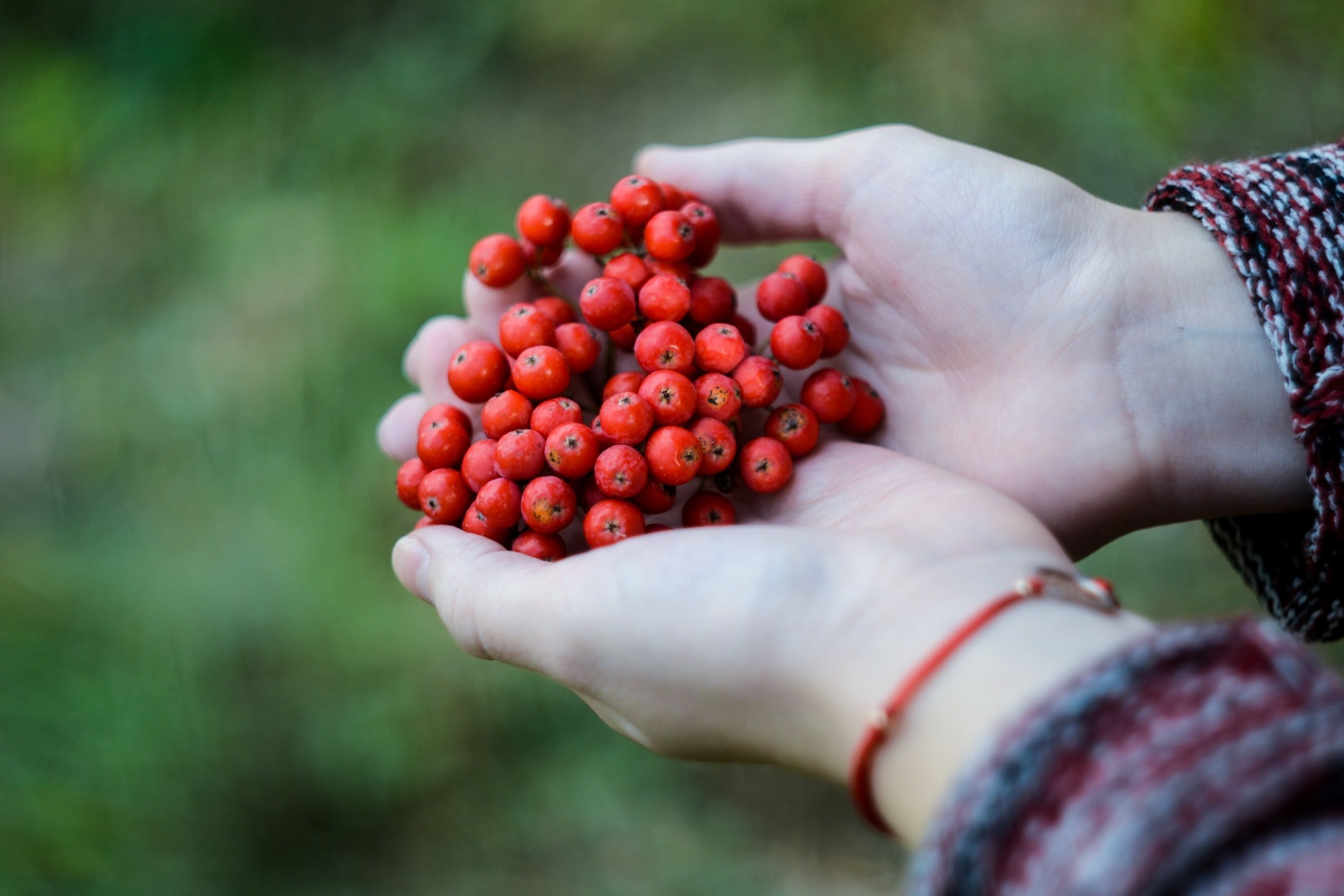 Exploring the Differences between Western and Integrative Medicine